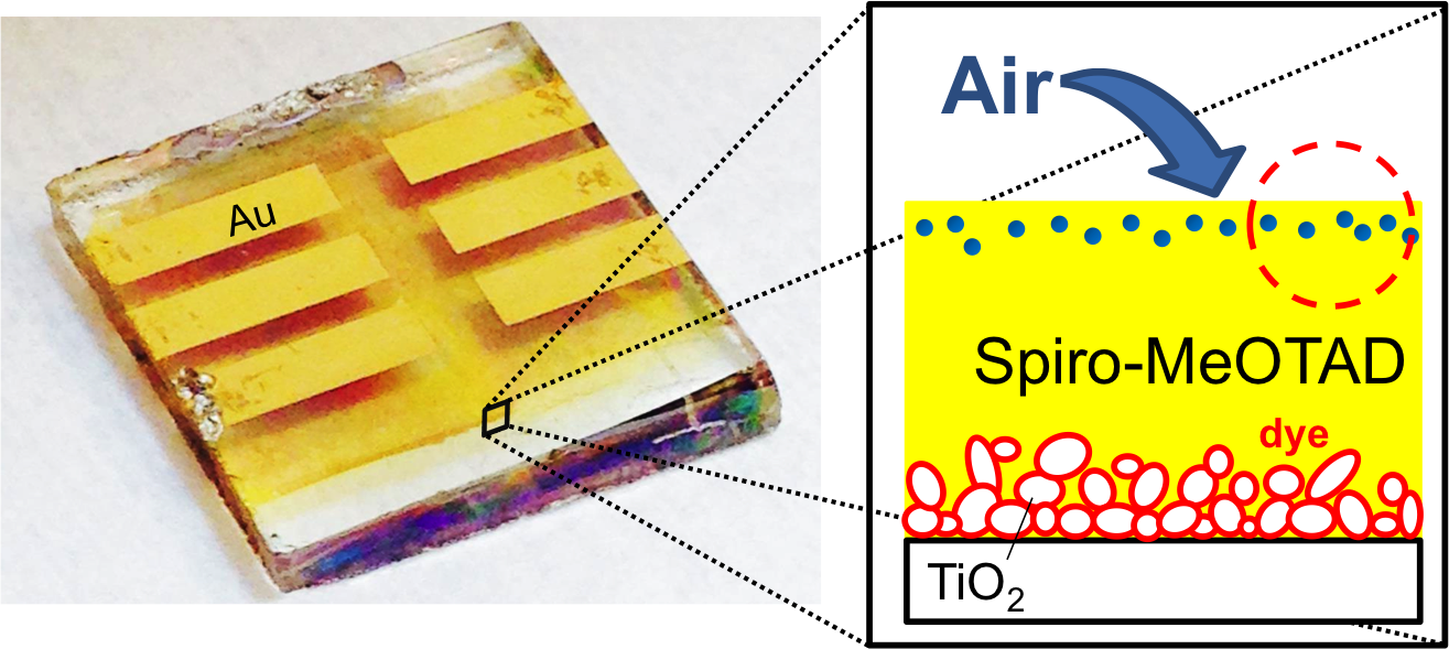 Solid State Dye Sensitized Solar Cell Okinawa Institute Of Science And Technology Oist 1687